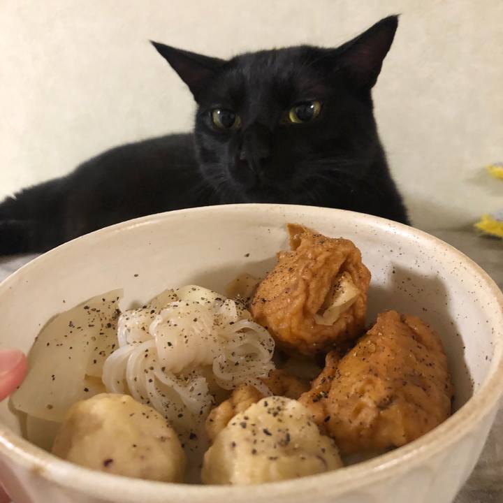 5c866e07 400b 4e0d 97d6 54f09bf5f8a9 1568292305421