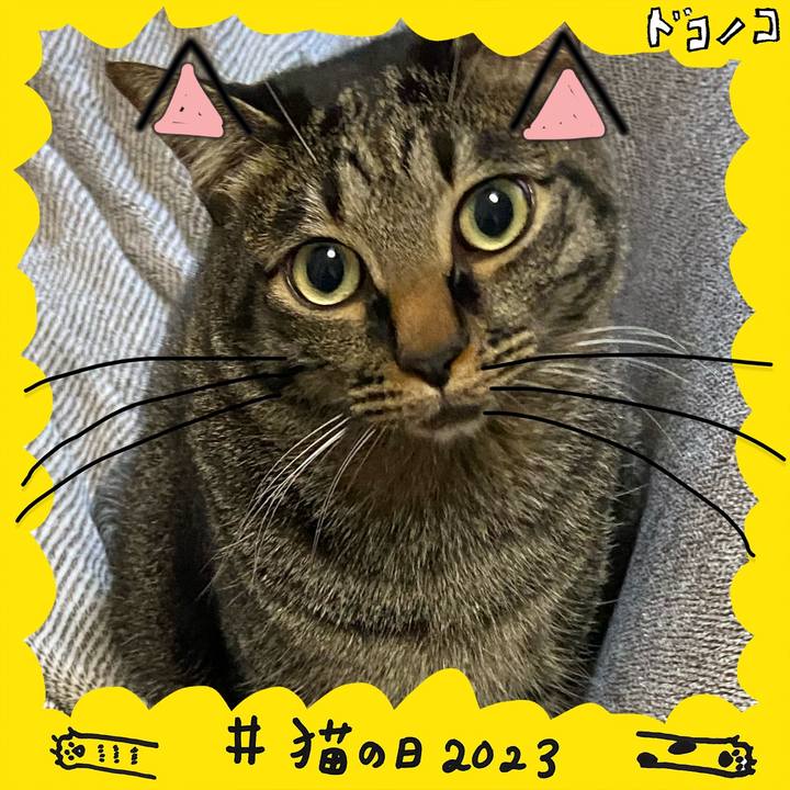 5c868b25 46d5 4320 9db1 aa335ea88e31 1677064794125