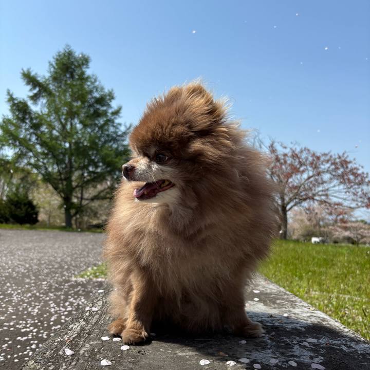 5c86a73f 0f3b 48a9 931a 669666616bf8 1746778181411