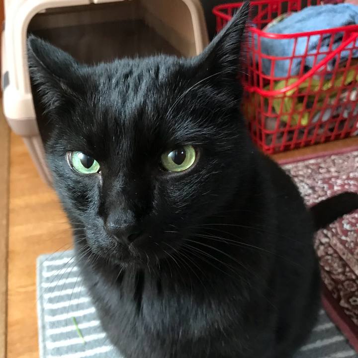 5c86ae73 66c7 4e1e be9e 44138f5e76a7 1513044086952