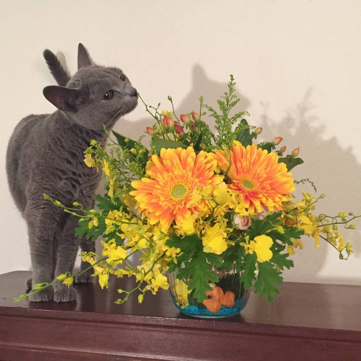 5c86fd1f 8ac6 4129 a9ef bbc923850001 1563587100217