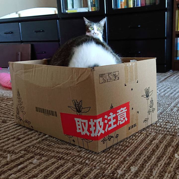 5c874147 6ef0 40bc a0a4 c4f258159a50 1568244471216