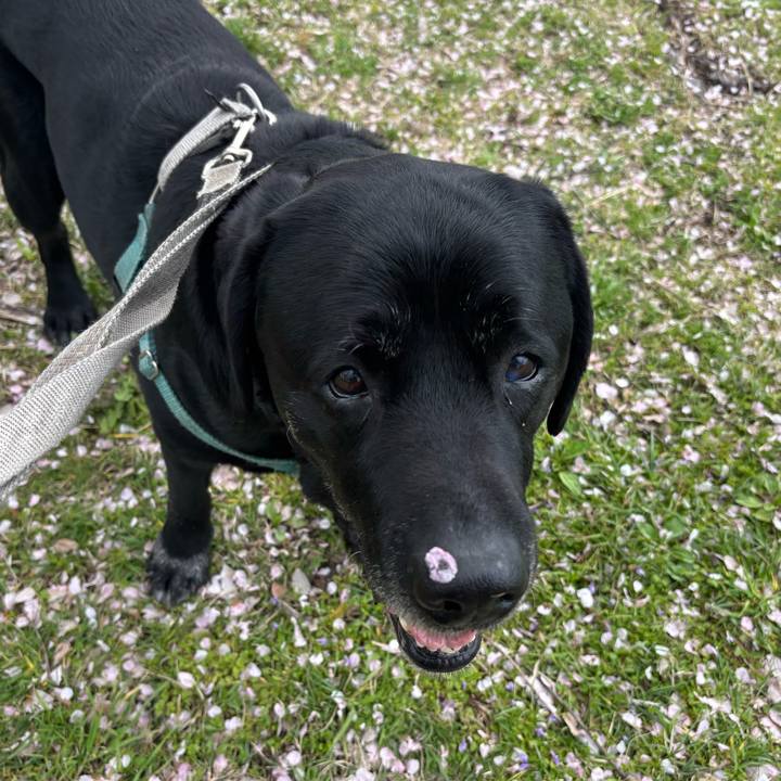 5c8744bb 8b83 453b 8552 404bd7fbd3ed 1775651264667