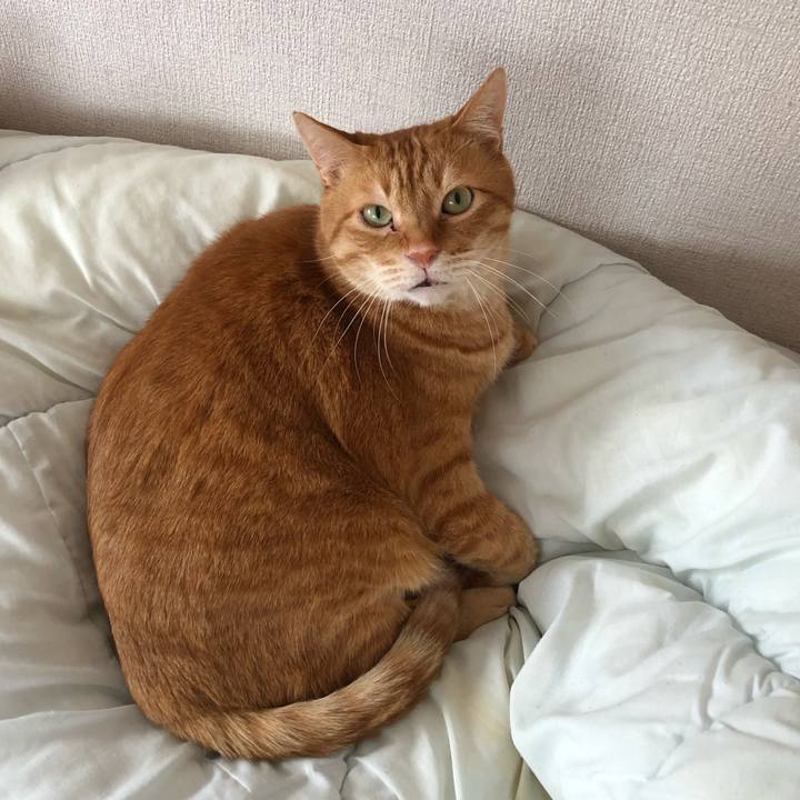 5c87a535 919e 4dff 8345 4c9a20f4fa78 1647901040534