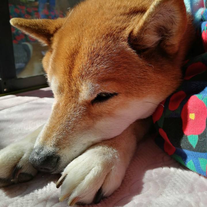 5c87b094 c319 4add 974a 07da2a415f7a 1676433510308