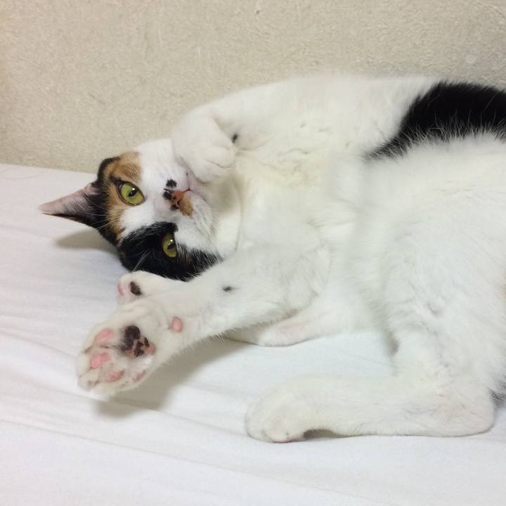 5c87c04c 3fd2 44c4 862f e22b1d75cdbc 1538520989624