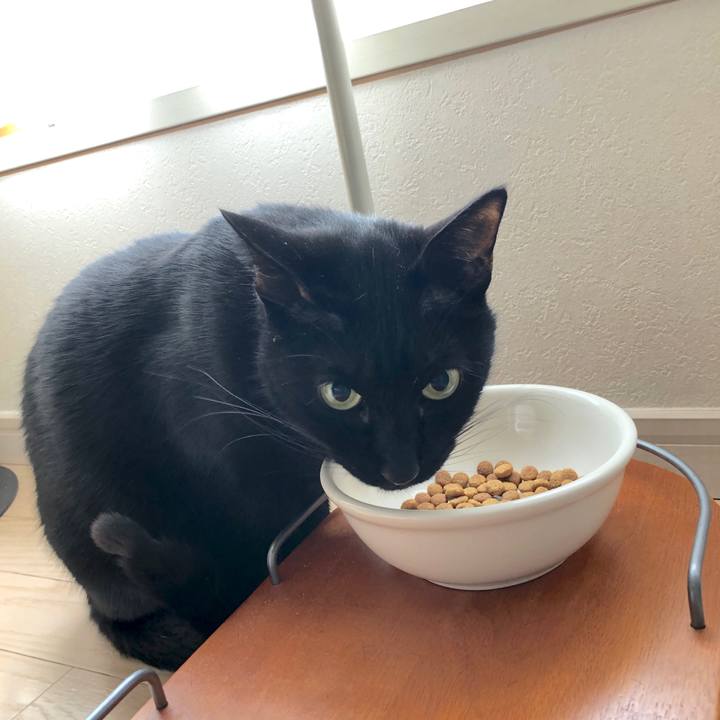 5c87e72a 3ced 4201 b513 53723834b418 1552267042564