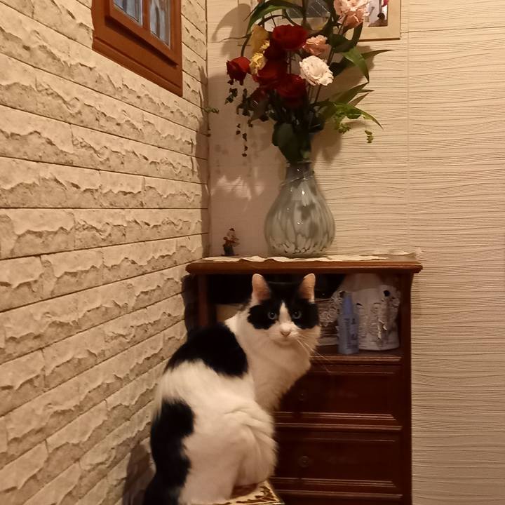 5c87f3d8 e200 45a2 8db4 a3280bbcb08c 1636025222911