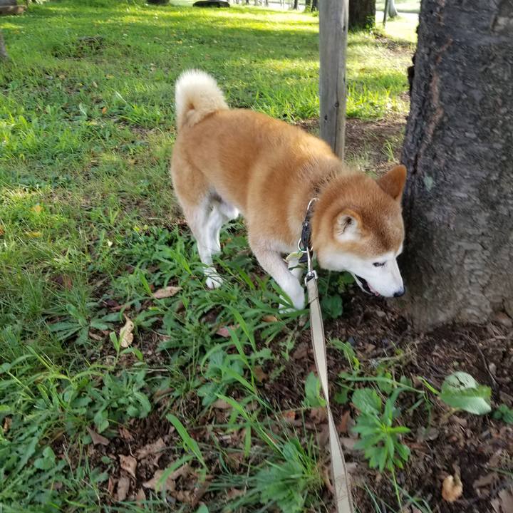 5c8842a5 4c91 4f71 b307 16ae96da3262 1661068216316