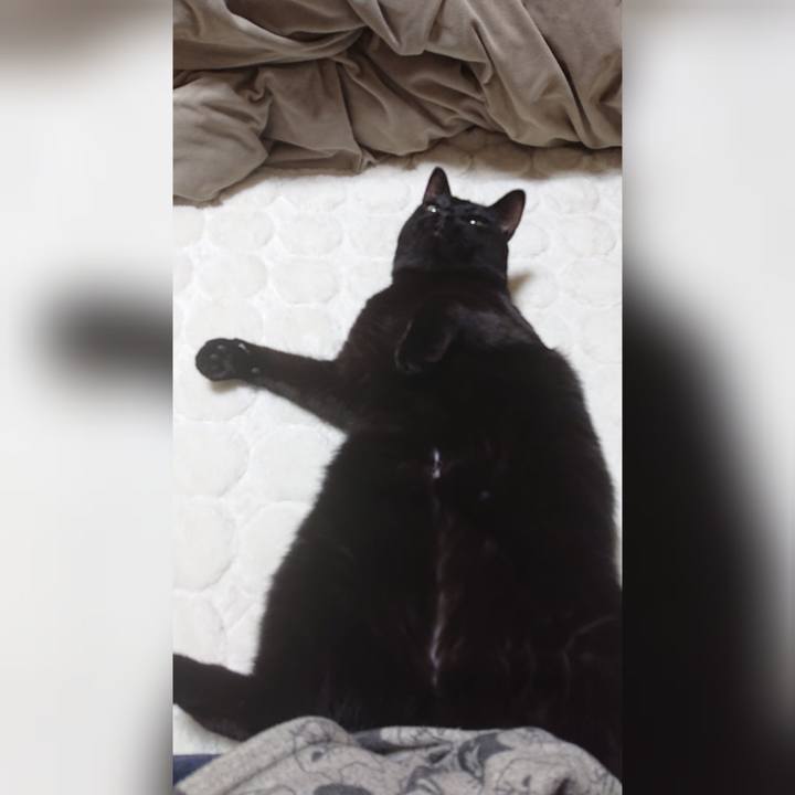 5c884a88 16d6 44b1 80f7 97b81c8e26b0 1579736221614