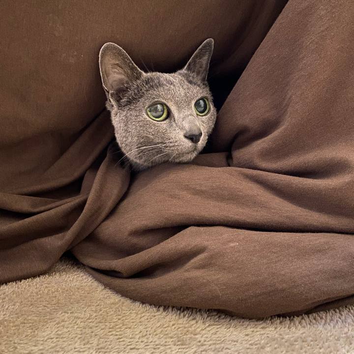 5c8866c5 75a6 4967 b9ee 836b65c28560 1615620019593