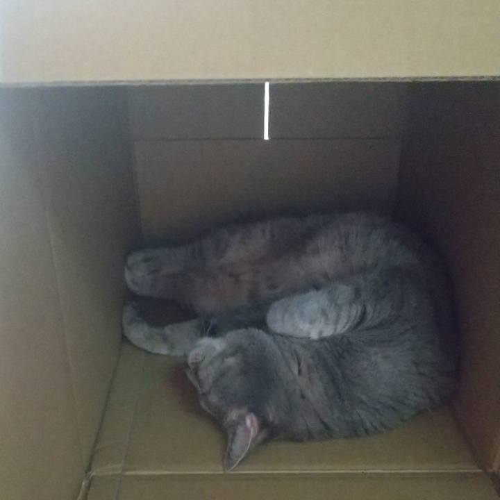 5c886750 ad81 46b7 8d9d a4513aec7d32 1661464499501