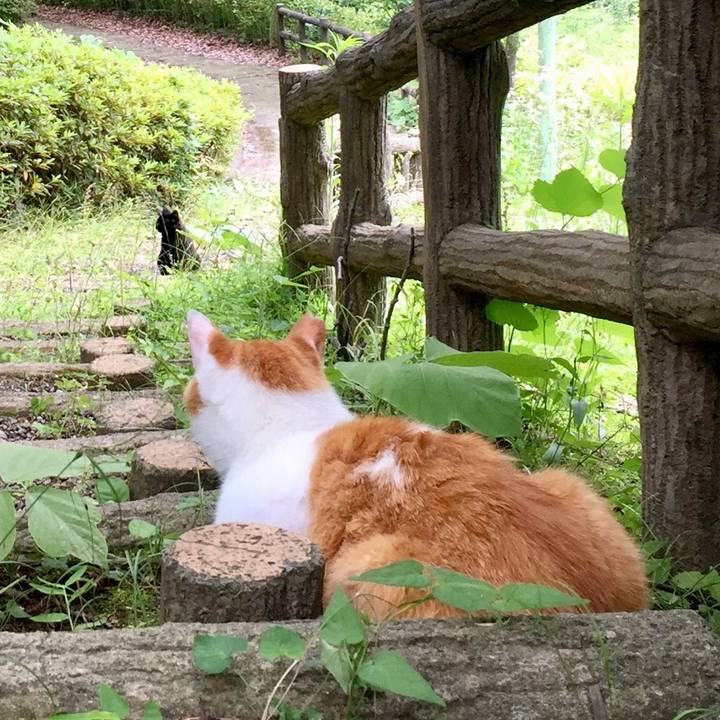 5c888757 77be 4f71 b43b 242157e264c5 1529218073306