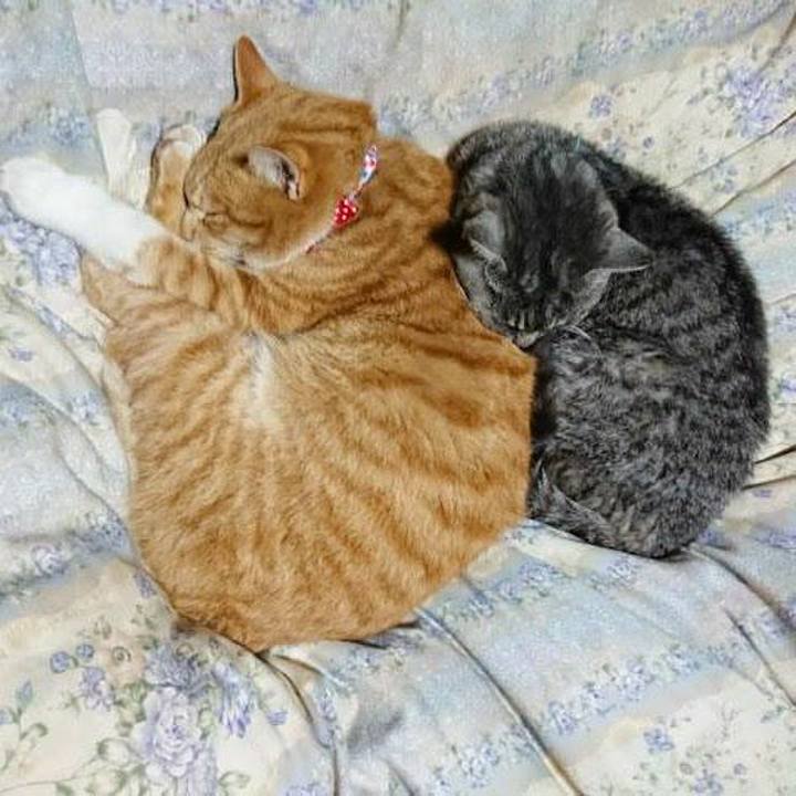 5c88b976 f06d 4c22 96c2 20f47fc95bb3 1576409291888