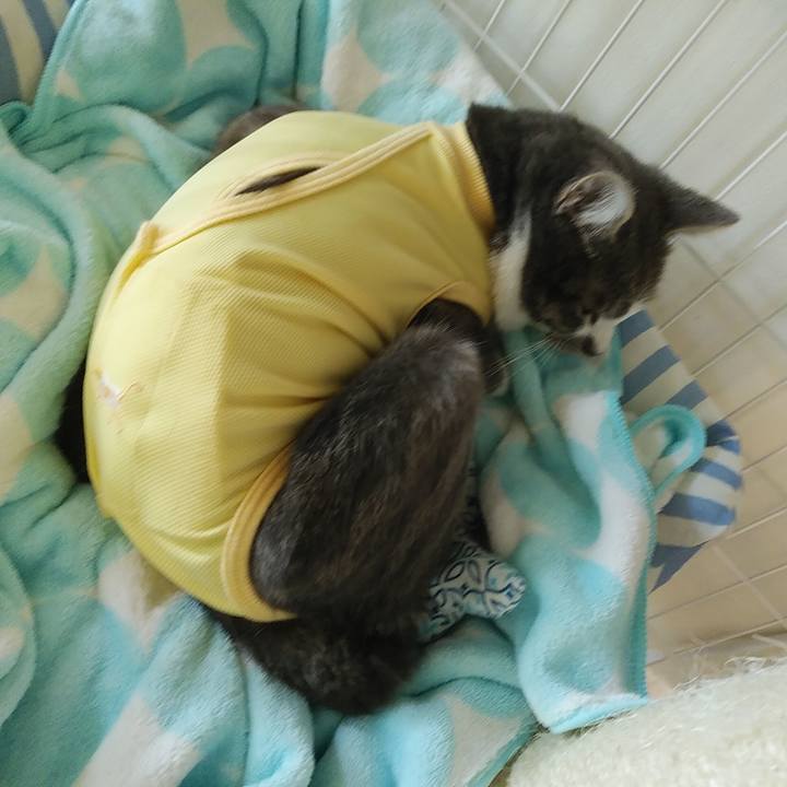 5c88bf43 88a9 4eb7 9034 07ecc4e29509 1584226497095