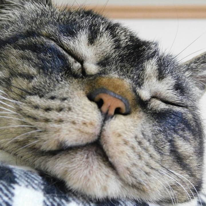 5c88c39e 178c 4567 ab9e 64b9e5c8716d 1527349604148