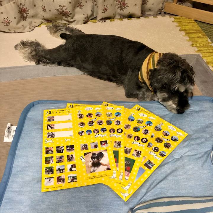 5c88f227 1c36 40e3 a457 41d5b950018a 1657627829321