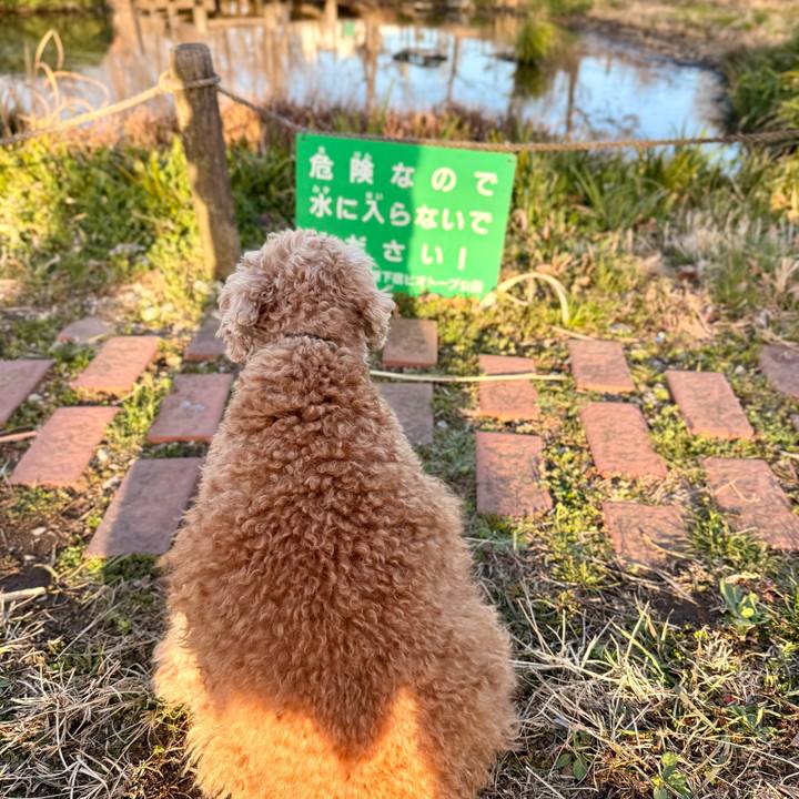 5c8927a1 a68d 45e4 8614 b5e139803514 1773640728677