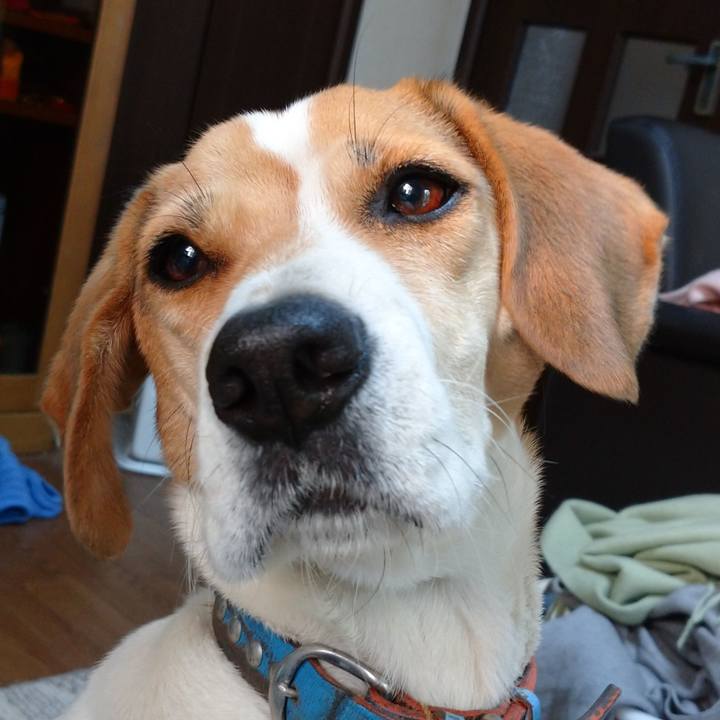 5c89643a 7361 4a6f 9980 f0415f2be5dc 1607686394437