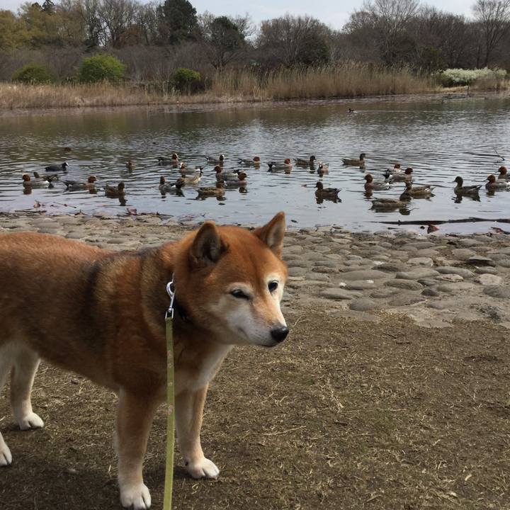 5c89708d 0d59 4f53 8cff 29bfb95ff253 1616142836458