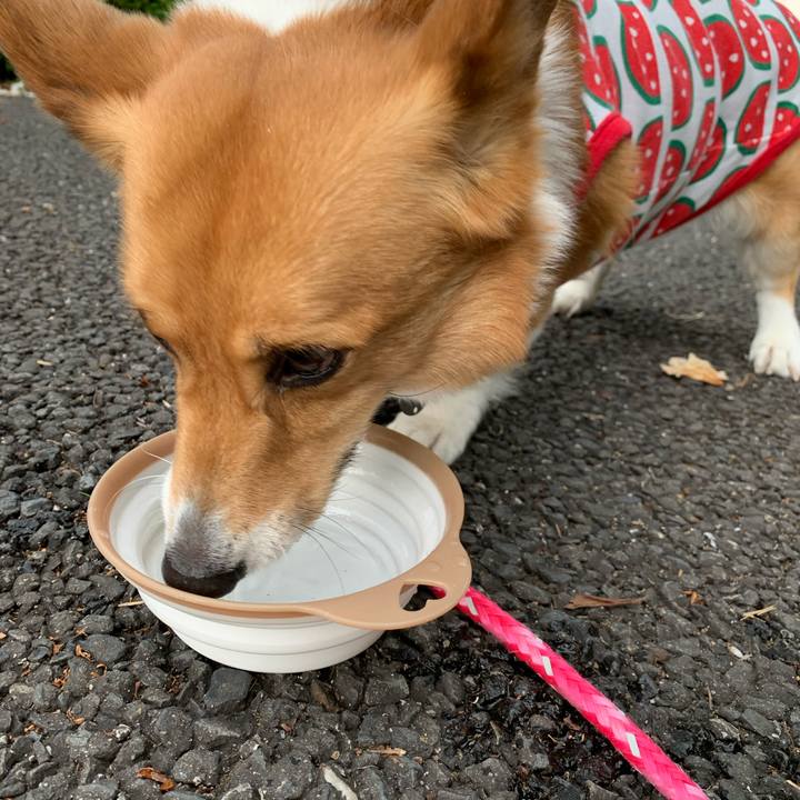 5c8971d2 9f79 4be0 aa39 feecf068c0f1 1588662215886