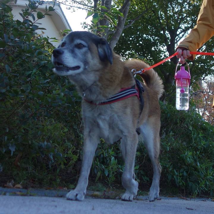 5c89c2a6 08a3 446a a51a 439a4690000f 1573259150056