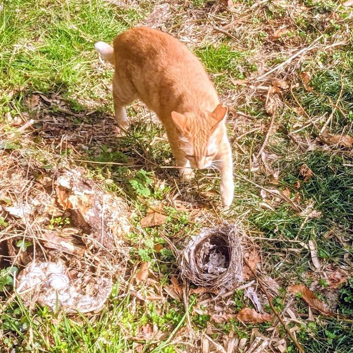 5c89ccc8 b4da 469b 949d 957adf8087a9 1771140609200