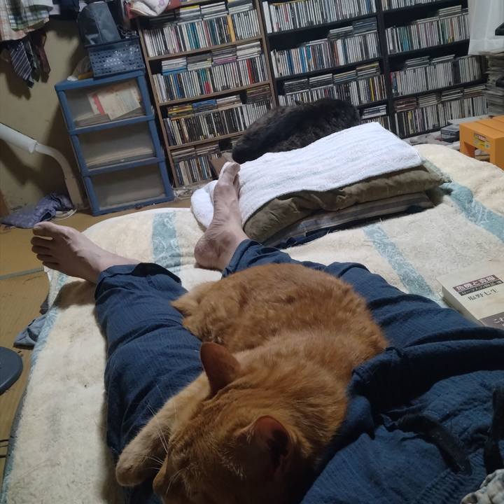 5c89f89b 99a0 4c3f ba66 f60202ab945e 1757501965510