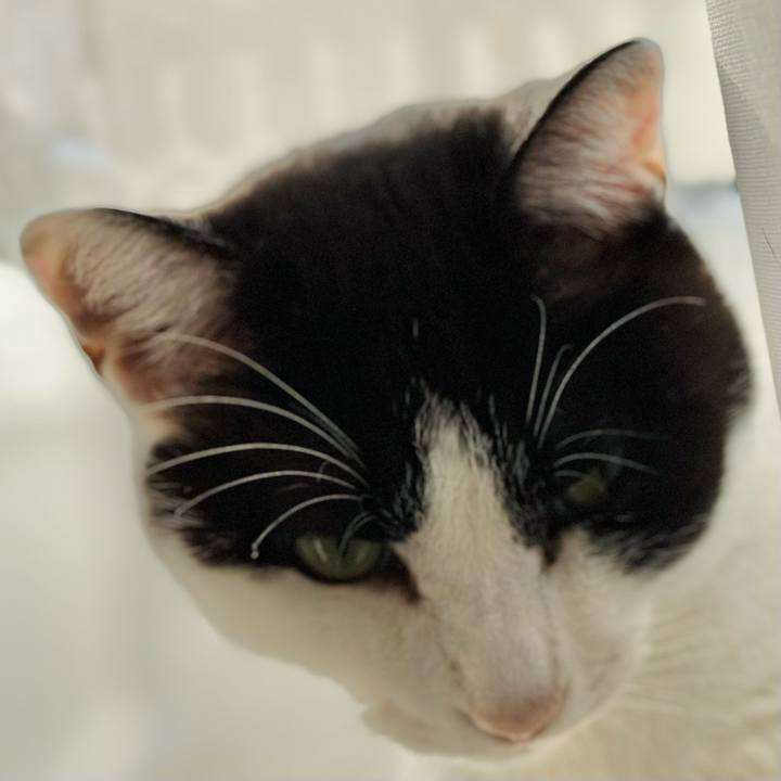 5c8a00b9 0e42 4e11 a641 65bc5ad4ecbc 1671243263718