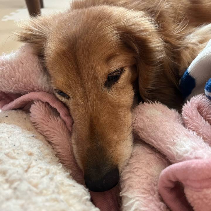 5c8a23af b999 418e b3ab 30ff7cd5a751 1677918211647