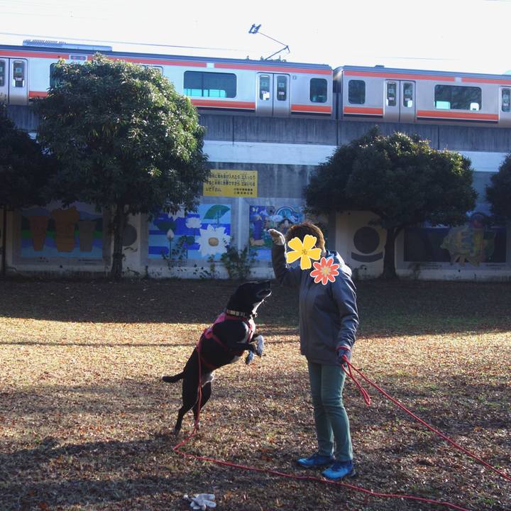 5c8a530c f767 4f0e 8982 12e939063fec 1701306497290