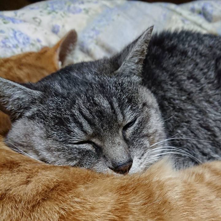 5c8a5b62 ec44 4db0 b622 0202d33c5490 1607858896546