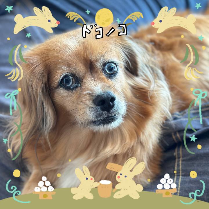 5c8a6b04 2a7d 4f76 8ded 09c8931f543d 1727048626051