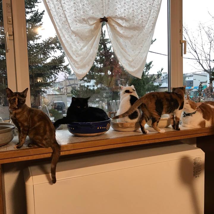 5c8aa51d 0e13 4f9a 9d01 2ce86667abb9 1605909728694