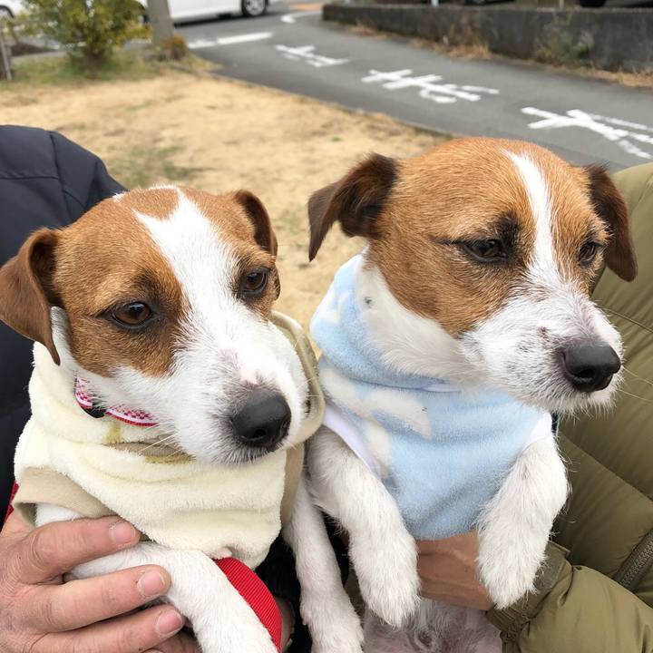 5c8ab515 fd88 4cd2 806b f5a8d0fe5824 1517150109994