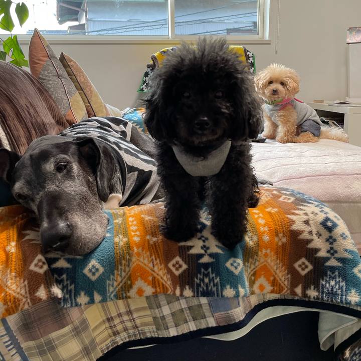 5c8ab565 5a67 499a aa29 cda409342482 1639091233395