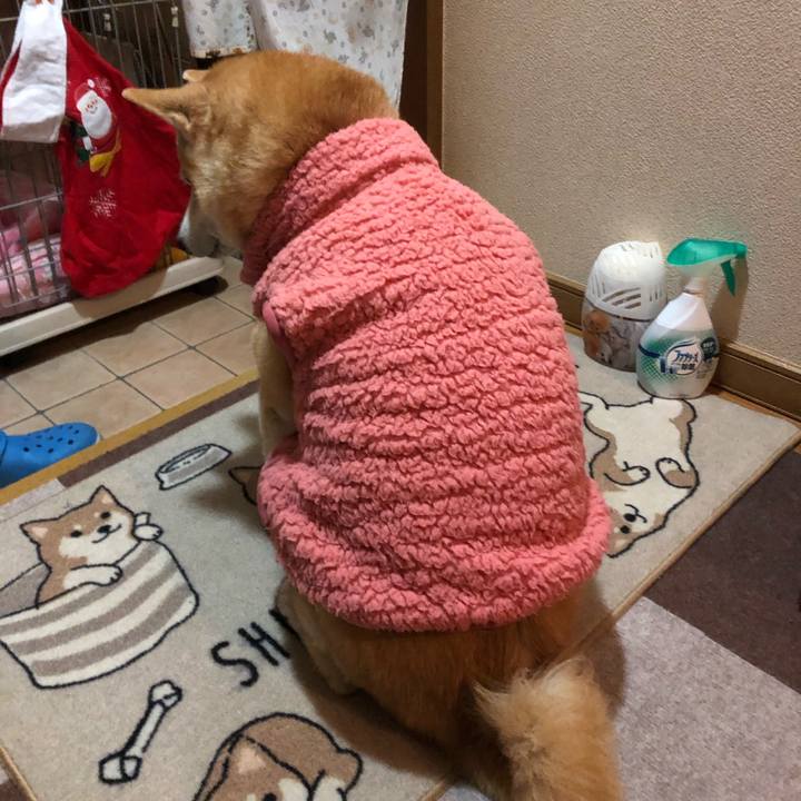 5c8ac19e c4c9 4cee b873 9caf14ba7498 1608040089585