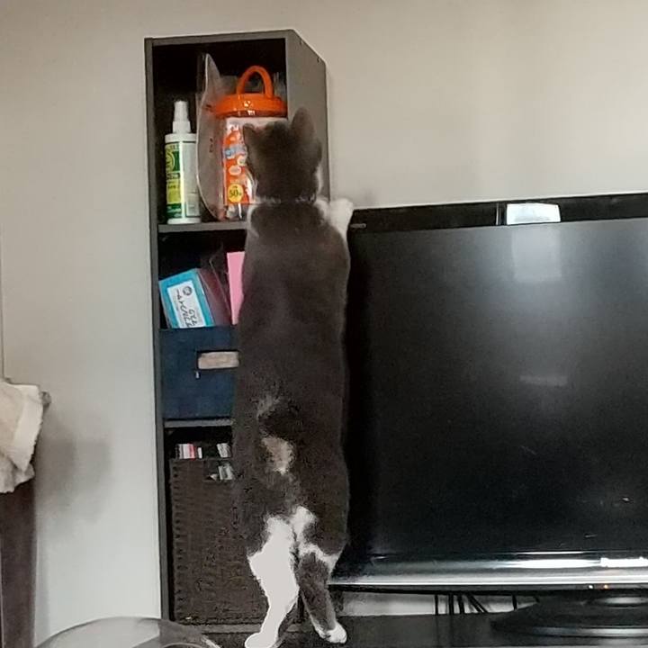 5c8ac24a e0cf 4ced 83b5 5b22514fdd1d 1614818312344