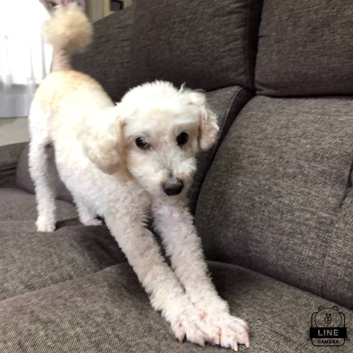 5c8ad4c7 993b 4ea0 9fdc f44e2996f5fc 1527139665704