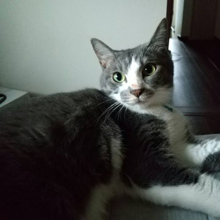 5c8afc9b 55ec 4b29 b1e6 787ba64aa53c 1621549377201