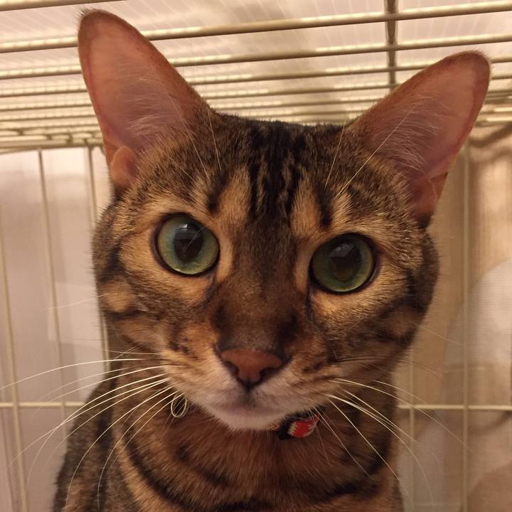 5c8b2647 f5b4 4880 b5f1 b09669e4a2dc 1531273931955