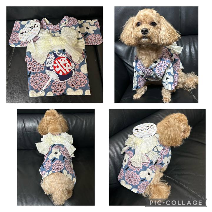 5c8b61ab 9677 4680 93c3 20edd9831476 1688474474516