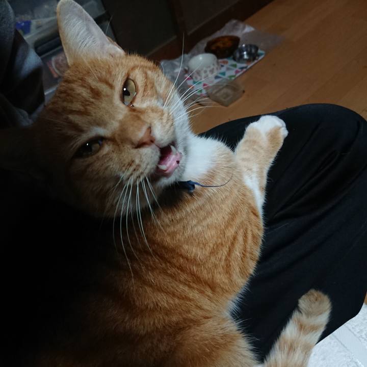 5c8ba00d ba15 4128 9736 d19e67a03a83 1604174641897