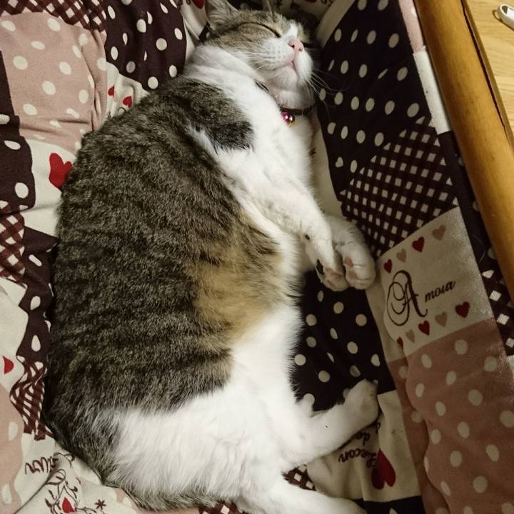 5c8ba5e6 4ce7 4992 8594 afc143ee0414 1548153652135