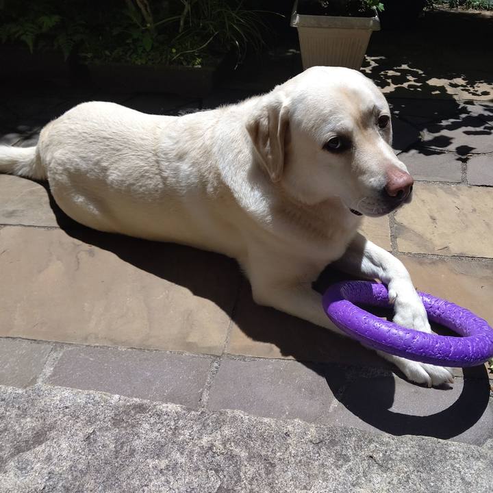 5c8bd576 6a1c 487c bef6 637235d0a581 1684927125275