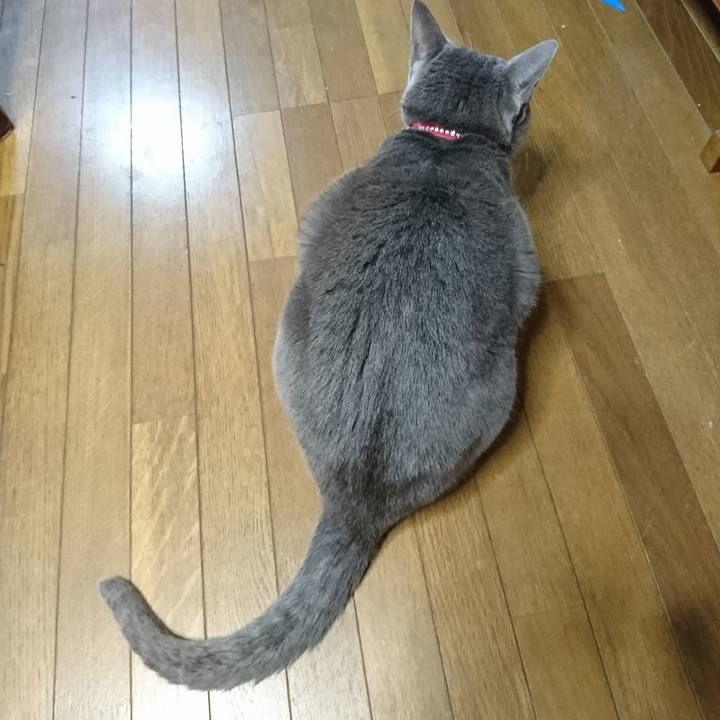 5c8c00aa 9196 43ee a673 9d5e87e09b6e 1510964525080