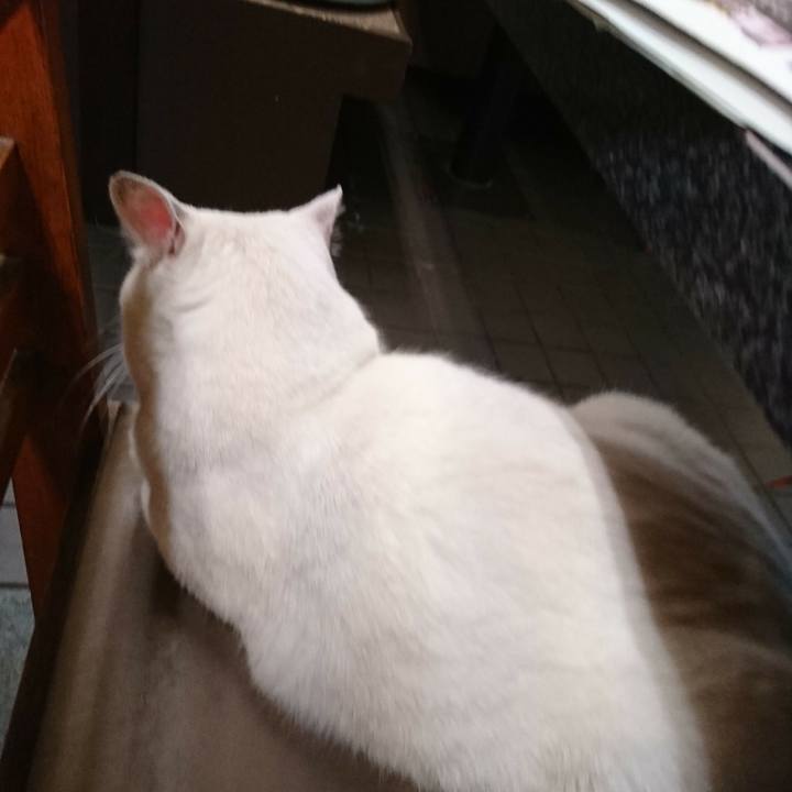 5c8c0aa5 7e2a 4de7 a88d 4835a48bee26 1563357422642