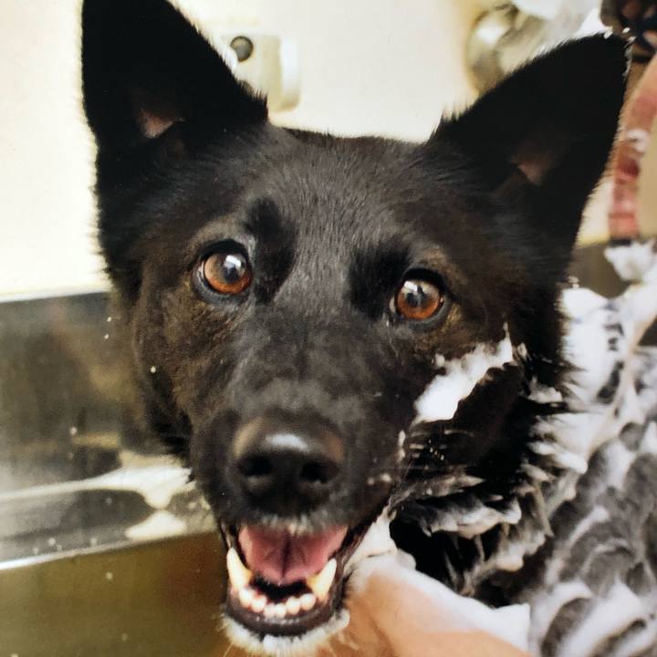 5c8c77f6 c8b8 4c04 83a3 14cb5335cfc6 1573428586187