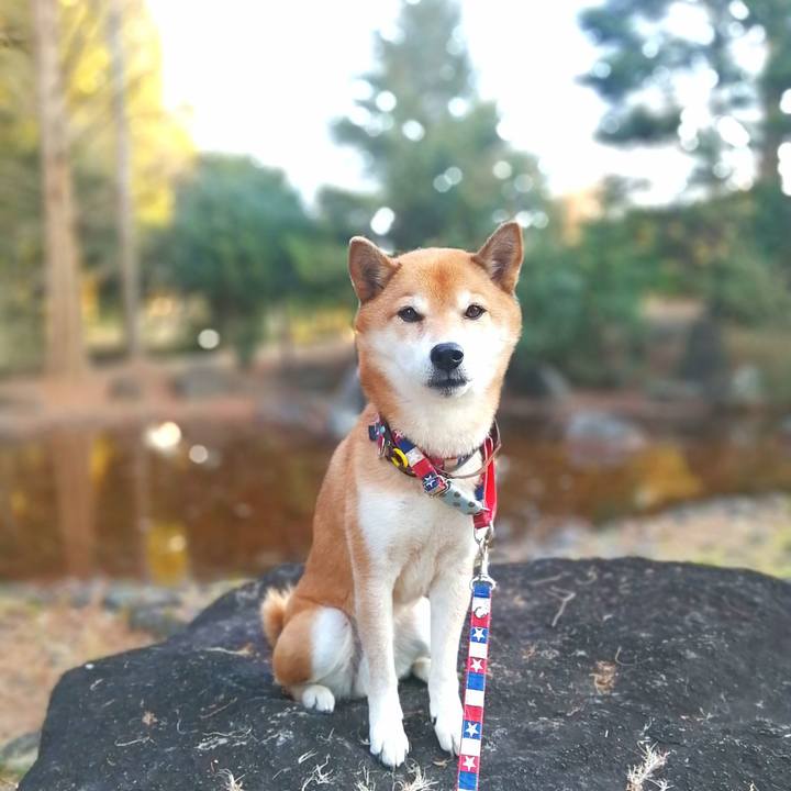 5c8c80b3 89c7 4286 a4f7 4c68a070d481 1673164339413