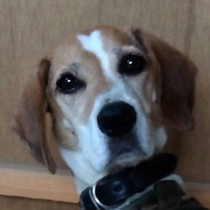 5c8ccc29 5bfb 4cc3 bc67 1265dffb8e5a 1695533791638